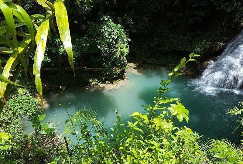 A river lagoon framed by tropical foliage with a waterfall at its head