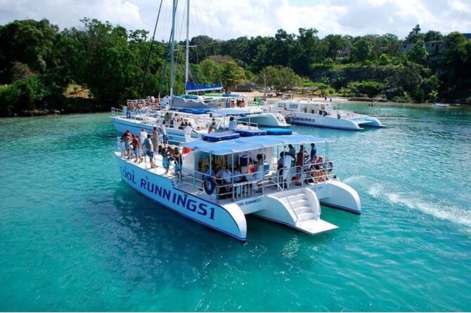 Catamarans moored on turquoise water off a wooded shoreline