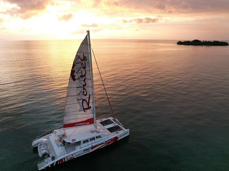 A catamaran under sail on calm water at sunset