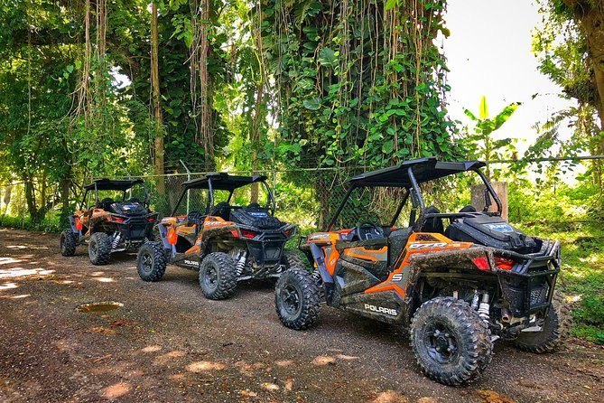 A line of UTV buggies parked on a shaded jungle track